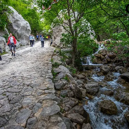 公寓 Sidro On The Beachfront *